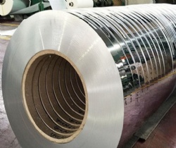China 301 Stainless Steel Strip